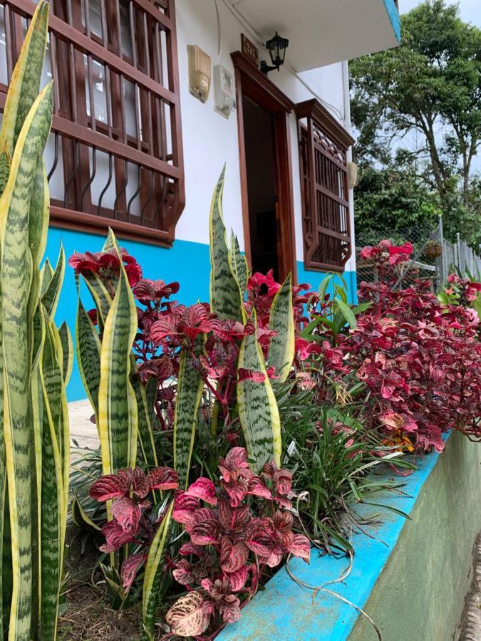 Casa Huespedes El Ensueno Hotel Jardín Eksteriør billede